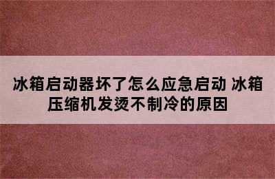 冰箱启动器坏了怎么应急启动 冰箱压缩机发烫不制冷的原因